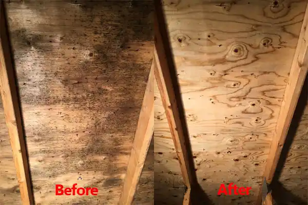 water damage restoration service North St. Paul